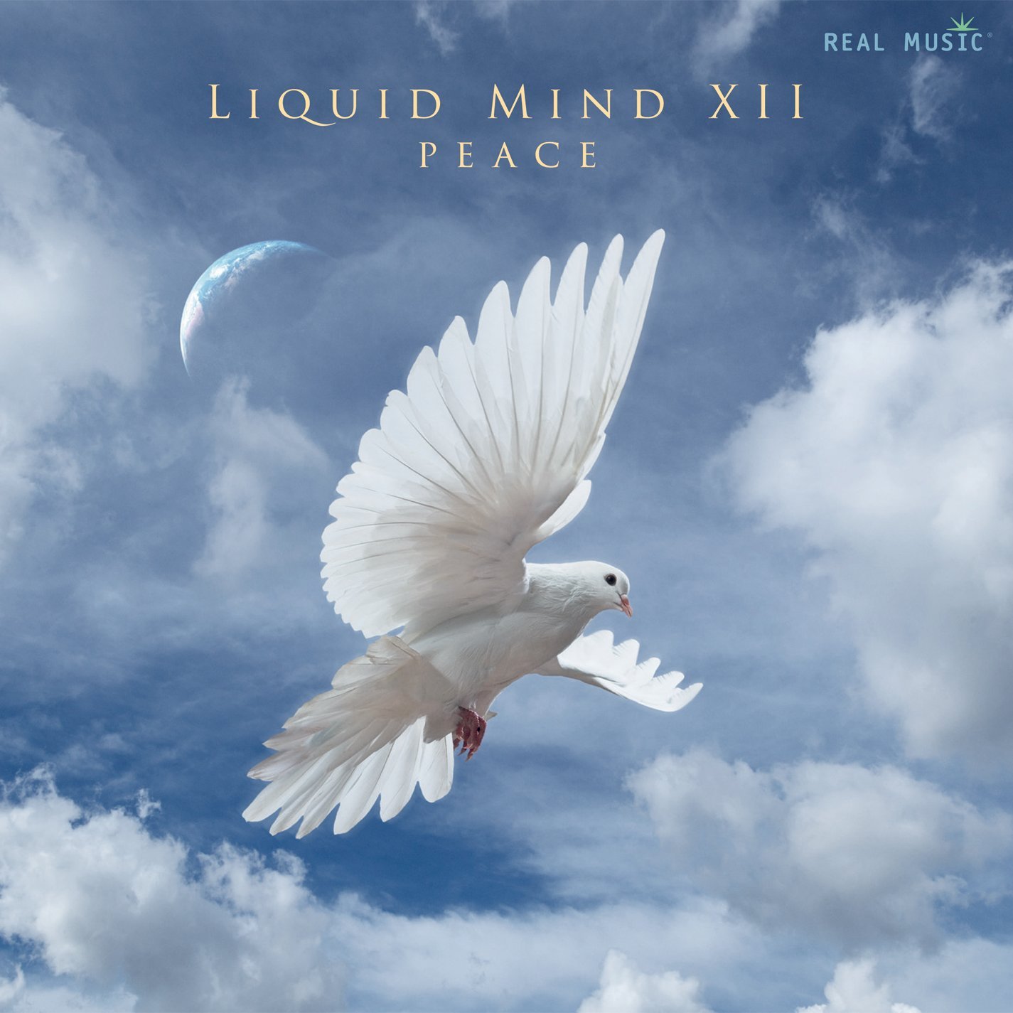 Liquid Mind - At The Center Is Love